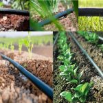 ابیاری قطره ای و تجهیزات ابیاری