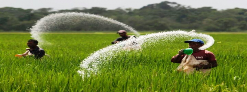 کود های یارانه ای