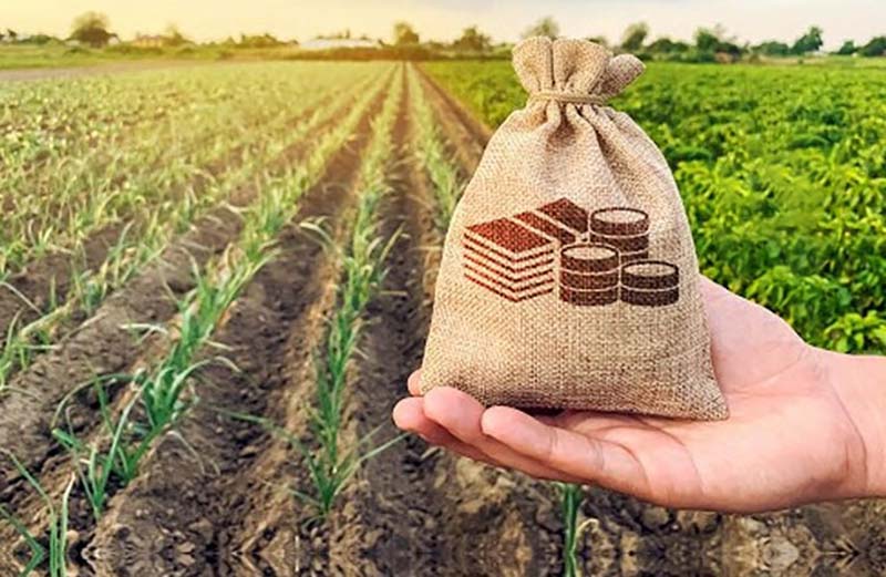 زمان پرداخت تسهیلات کشاورزی
