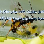 کنترل بیولوژیک آفات: روشی سازگار با محیط زیست برای مدیریت پایدار آفات