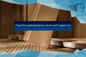 ترمووود
